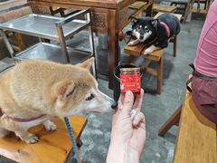 -化龙桥九宫格火锅(清水河店)