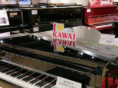-柏斯音乐艺术中心·钢琴·吉他(上音店)