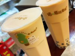 -猫的魔法密林(衣裳街店)