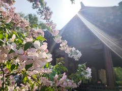 -海棠花溪(元大都城垣遗址公园)