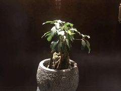-南堂館川菜文化餐厅(天府店)