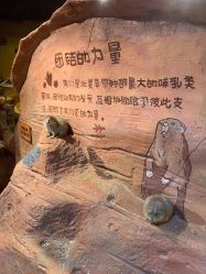 -奇幻萌宠部落(映月湖环宇城店)