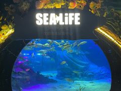 -沈阳海洋探索中心