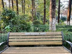 -苏州河梦清园环保主题公园