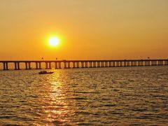 -宝安西湾红树林湿地公园