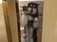 -Double Rui宠物酒店