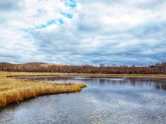 -塞罕坝国家级自然保护区