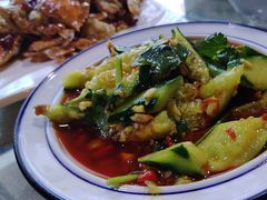 -墨脱石锅椰子鸡•香草鸭•东山羊(大东海店)