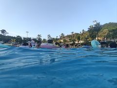 -重庆海昌加勒比海水世界