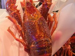 -肥肥虾庄·金牌油焖大虾(汉口城市广场店)