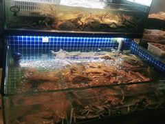 -小厨师·二十年沈家门小海鲜(百井坊巷店)
