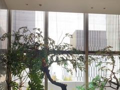 -海立阁海鲜江浙菜(漕河泾印象城店)