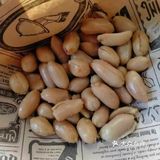 我给李雪琴当人脉~约个酒搭子过年一起喝酒