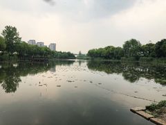 -新江湾城公园