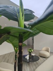 -HEYAN荷妍专业脱毛连锁机构