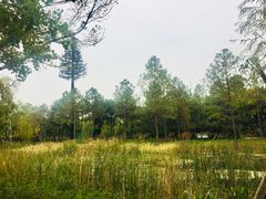 -昆山城市生态森林公园