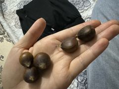 -邢记板栗(铜陵二店)