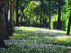 -人民公园(罗湖区)