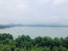 -杭州君悦酒店