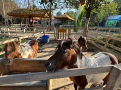 -水上乐园·欢乐世界