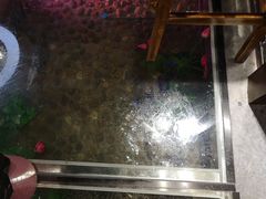 -印象江南(东栅店)
