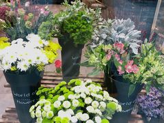 -卓花境Flowerwonderland花店