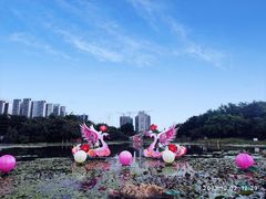 -映月湖公园