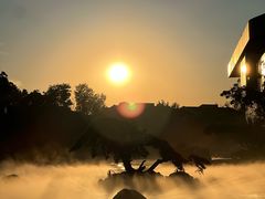 -罗红摄影艺术馆