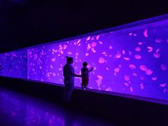 -波塞冬海底世界