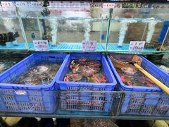 -庭苑美食中心·陈皮烧鹅·海鲜(台山店)