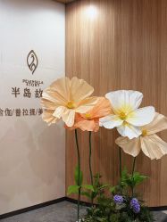 -半岛故事·法儿曼抗衰·indiba中心