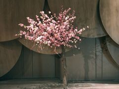 -武商摩尔影城(国广IMAX激光店)