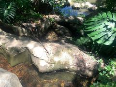 -燕晗山郊野公园