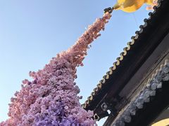 -茅山东方盐湖城景区