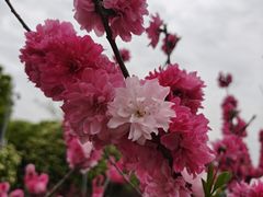 -月湖风景区