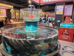 -魏铭鱼头捞饭(晋阳路店)