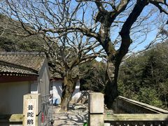 -普陀山慧济禅寺