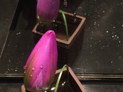 -上海璞麗酒店
