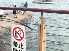 -东疆建设开发纪念公园