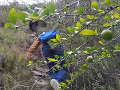 -毛公山瞻仰区售票处