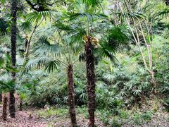 -蜀冈西峰生态公园