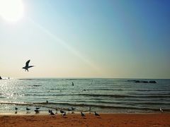 -老虎石海上公园