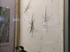 -上海昆虫博物馆