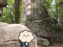 -汤旺河林海奇石景区