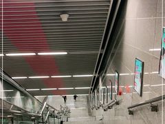 -大龙山(地铁站)