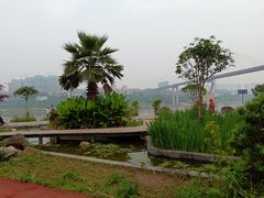 -大渡口区义渡公园