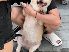 -新光里
