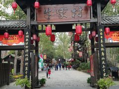 -合肥滨湖国家森林公园