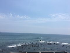 -Cafe Rooftop Cheongsapo