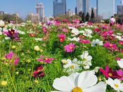 -二沙岛艺术公园